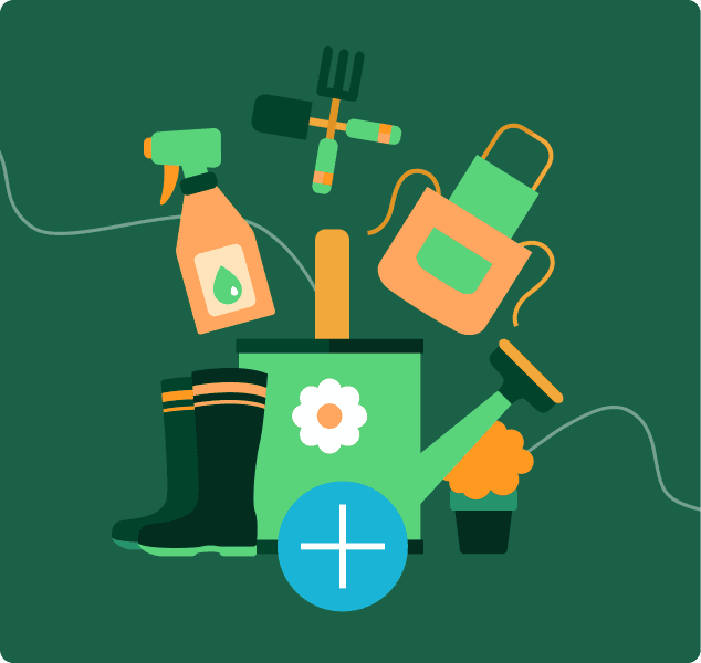 Add a new activity on the web